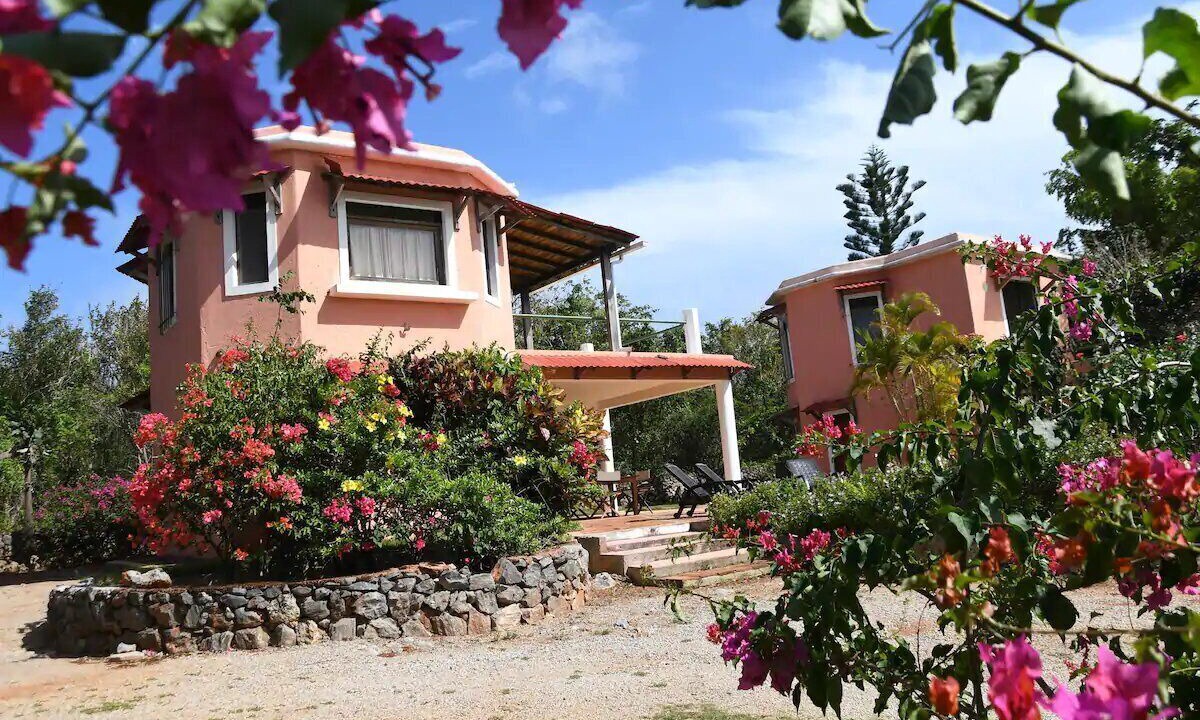 Photo of Outdoor in Las Galeras