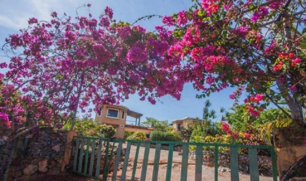 Photo of Outdoor in Las Galeras
