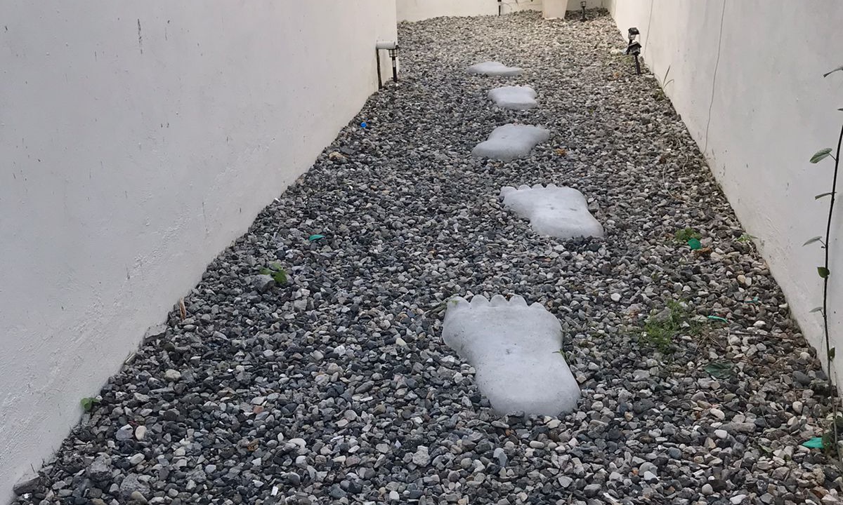 Photo of Outdoor in Serralles