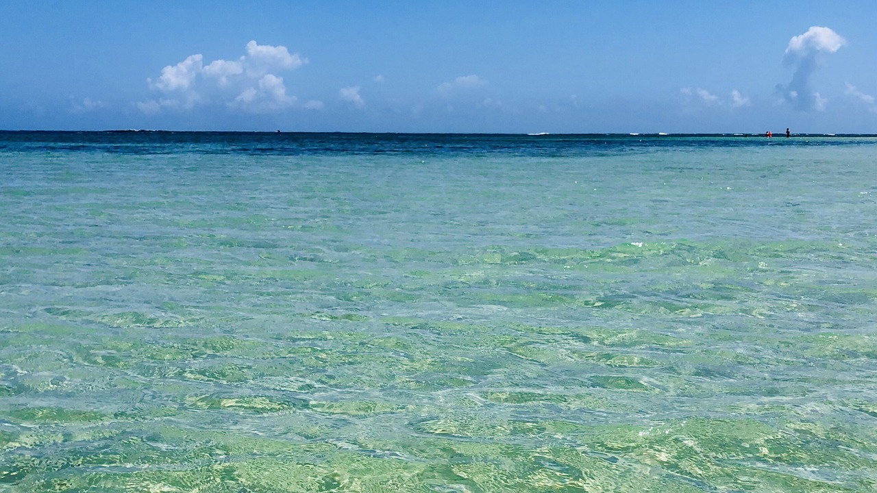 Photo of Others in Las Terrenas