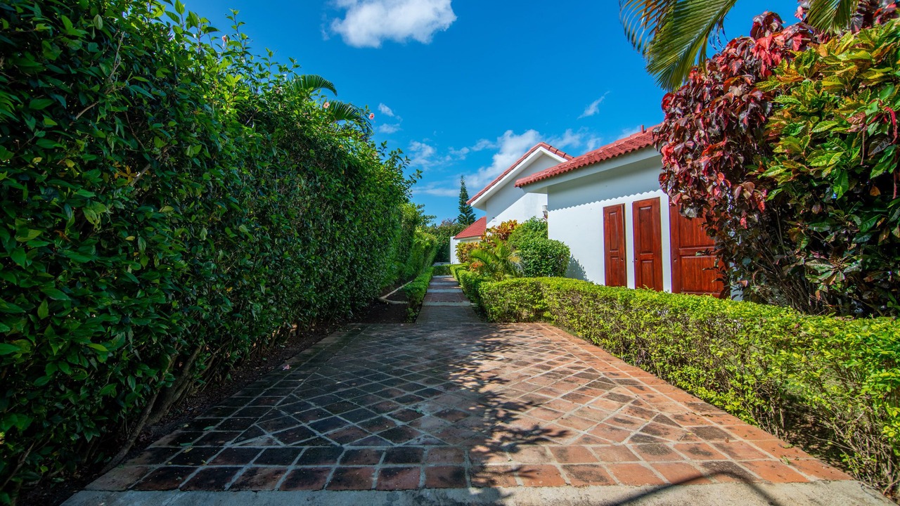 Photo of Outdoor in La Mulata