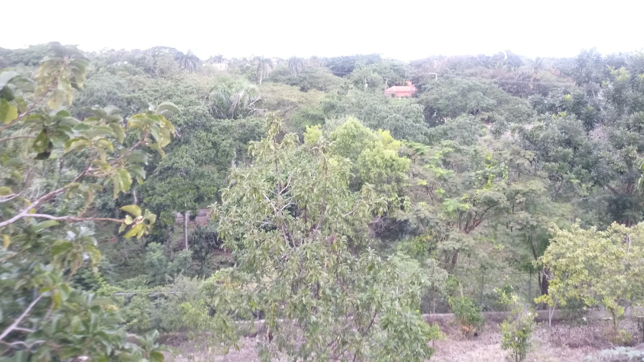 Photo of Others in La Mulata