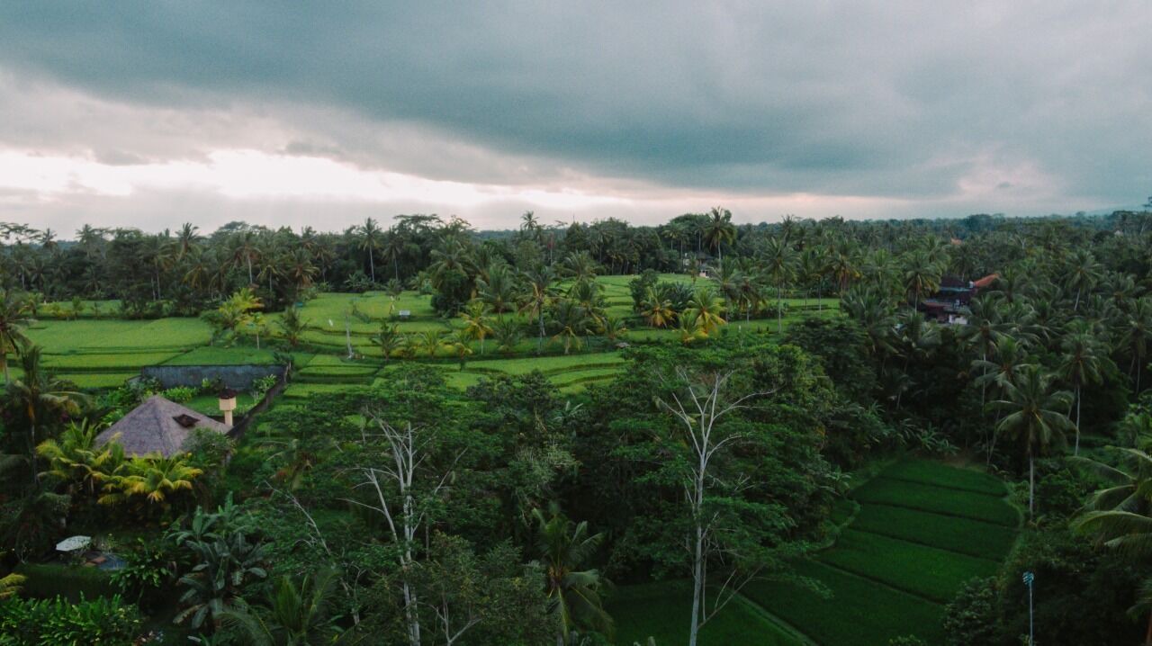 Photo of Outdoor in Melayang