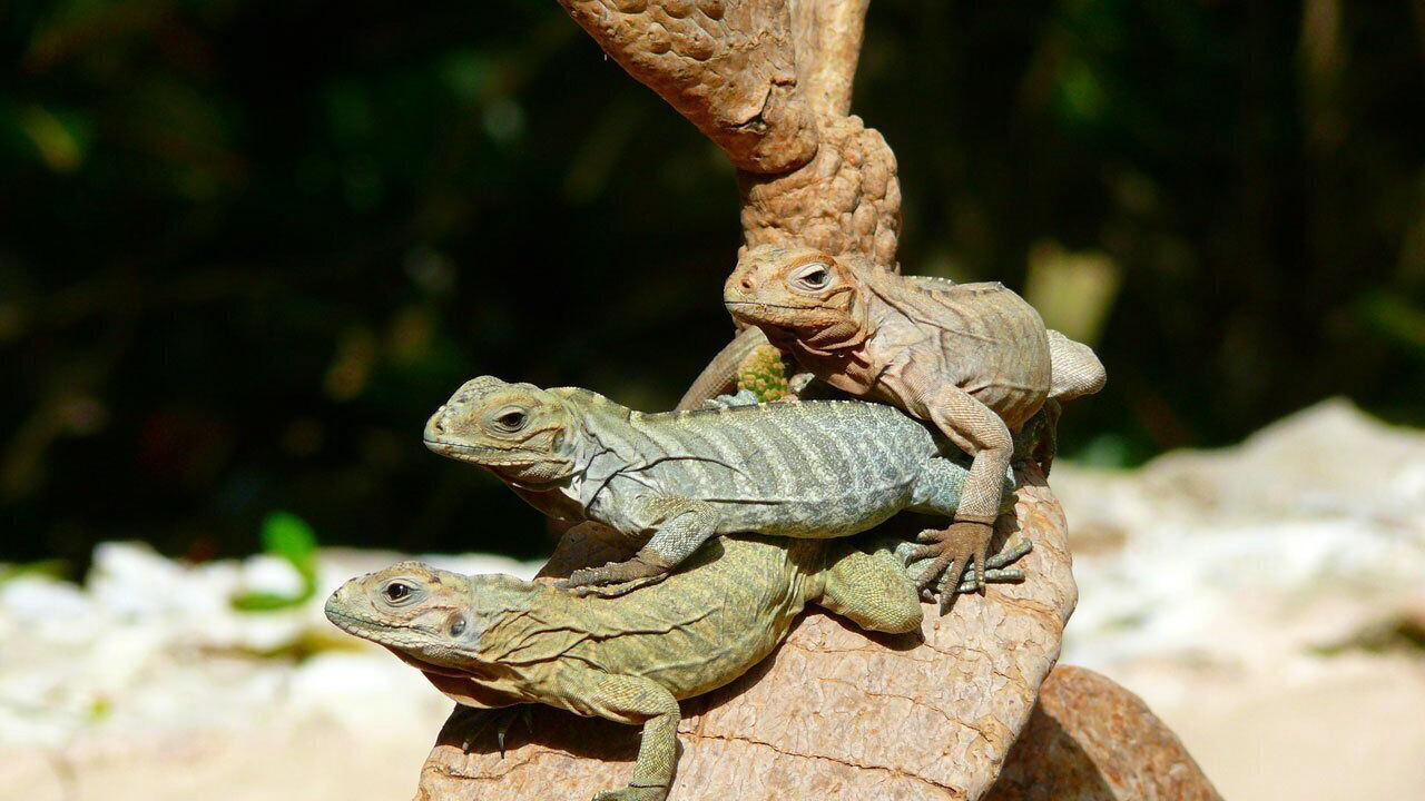 Photo of Outdoor in Las Calderas