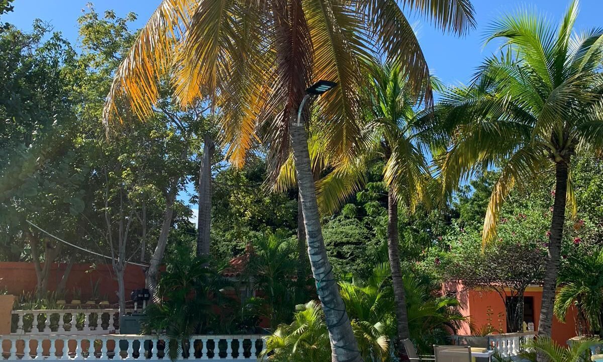 Photo of Outdoor in Las Calderas