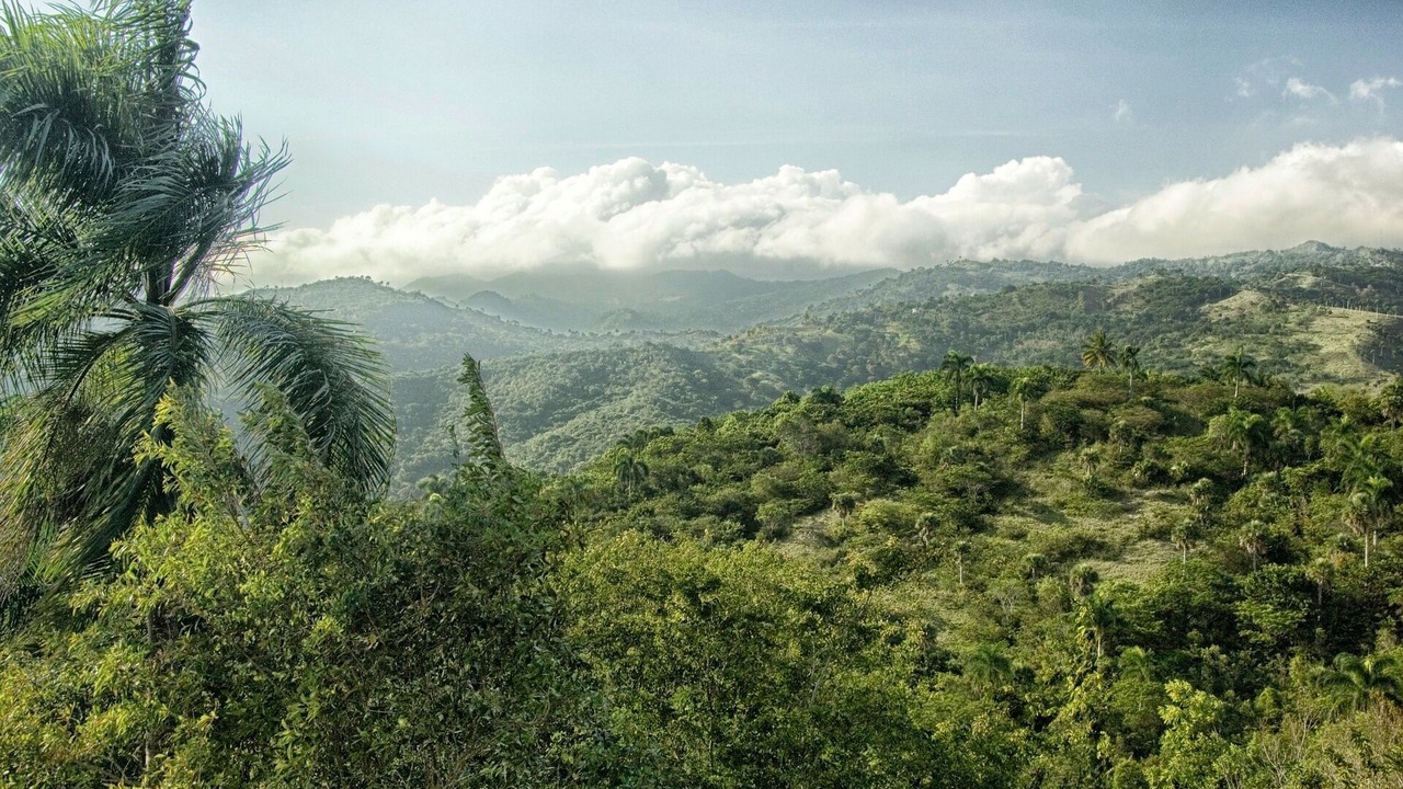 Photo of Outdoor in Las Calderas