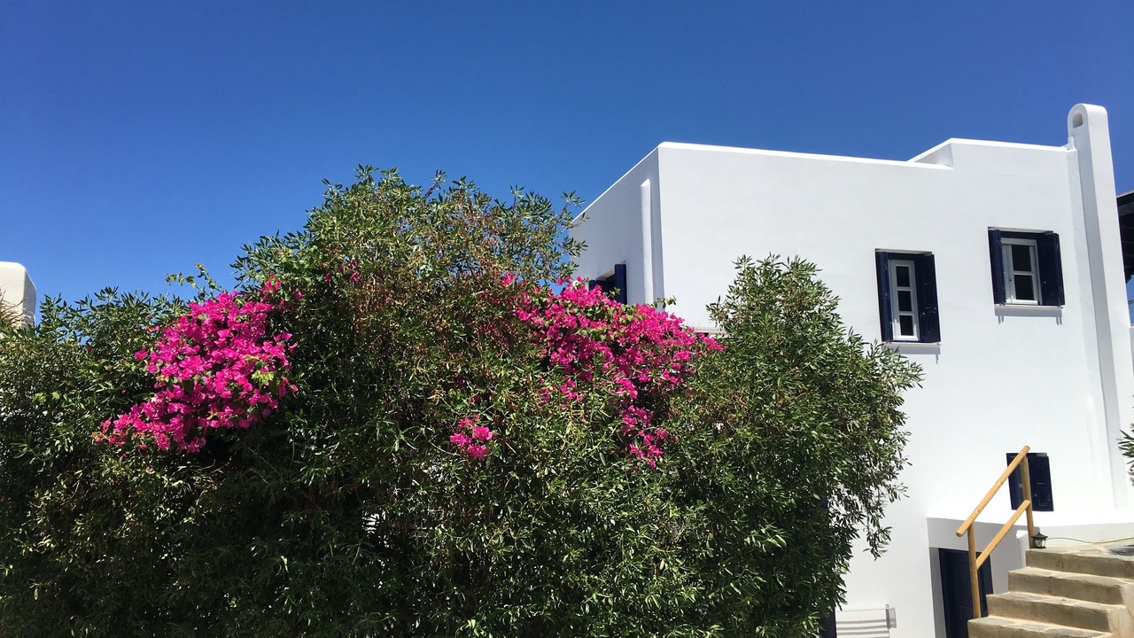 Photo of Outdoor in Naxos