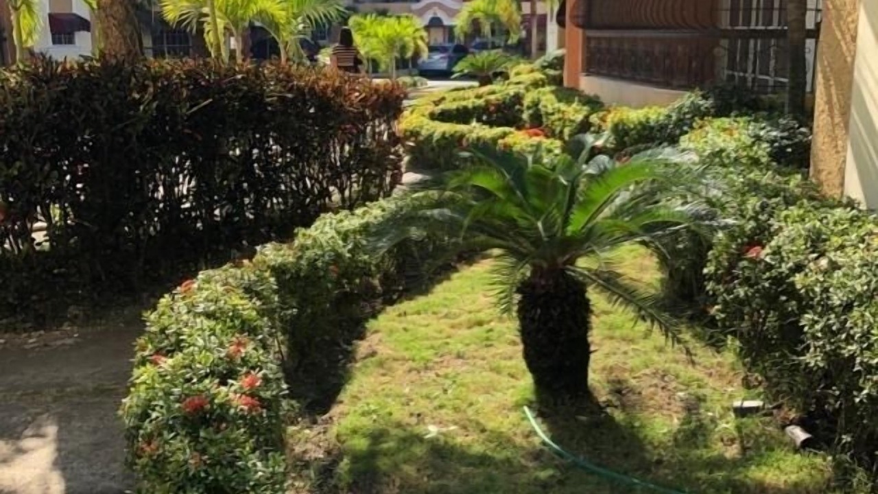 Photo of Outdoor in Villa Mella