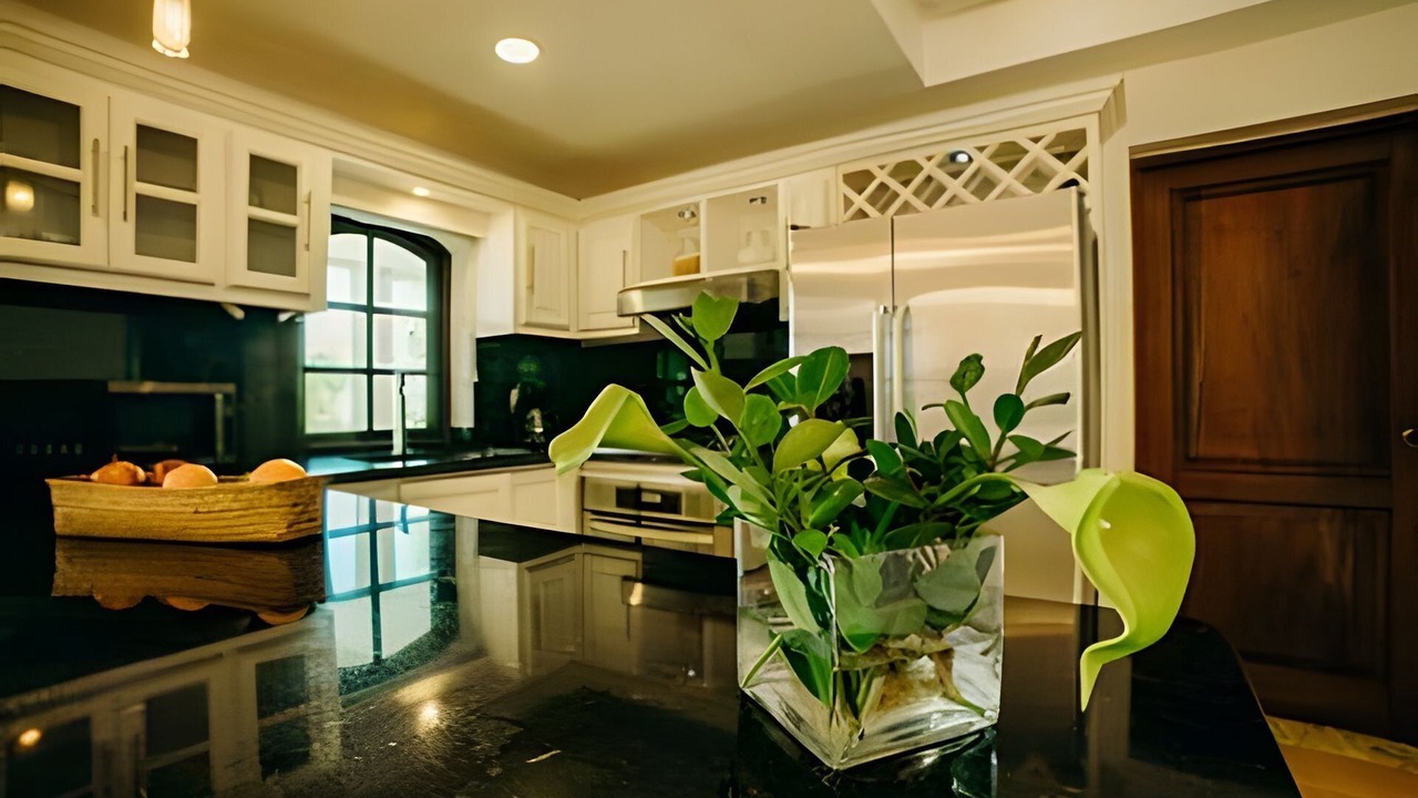 Photo of Kitchen in Bavaro