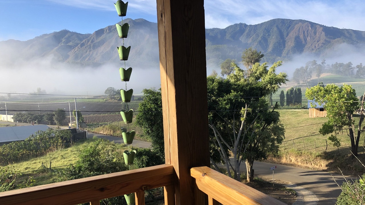Photo of Outdoor in Constanza