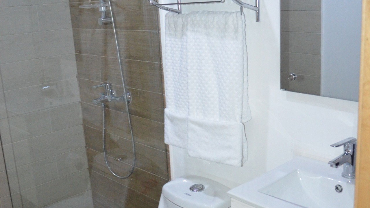 Photo of Bathroom in Reparto Ibarra