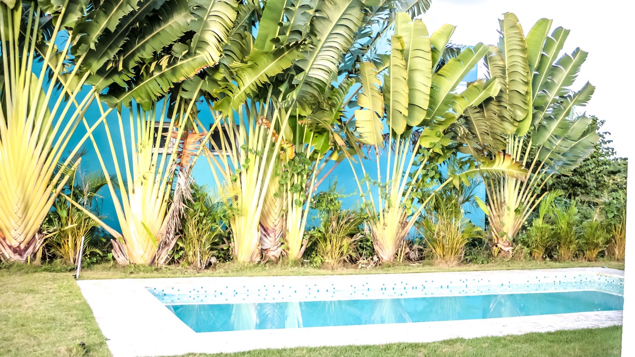 Photo of Outdoor in Boca Chica