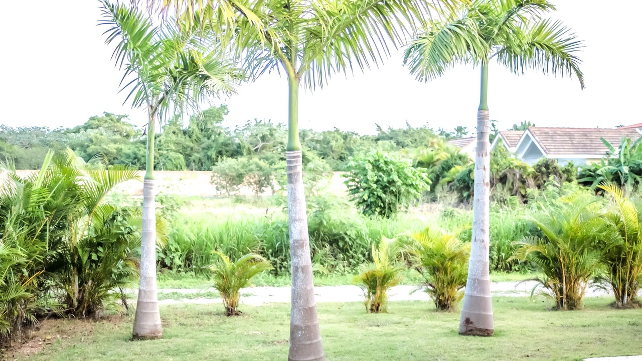 Photo of Outdoor in Boca Chica