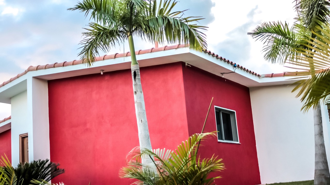 Photo of Outdoor in Boca Chica