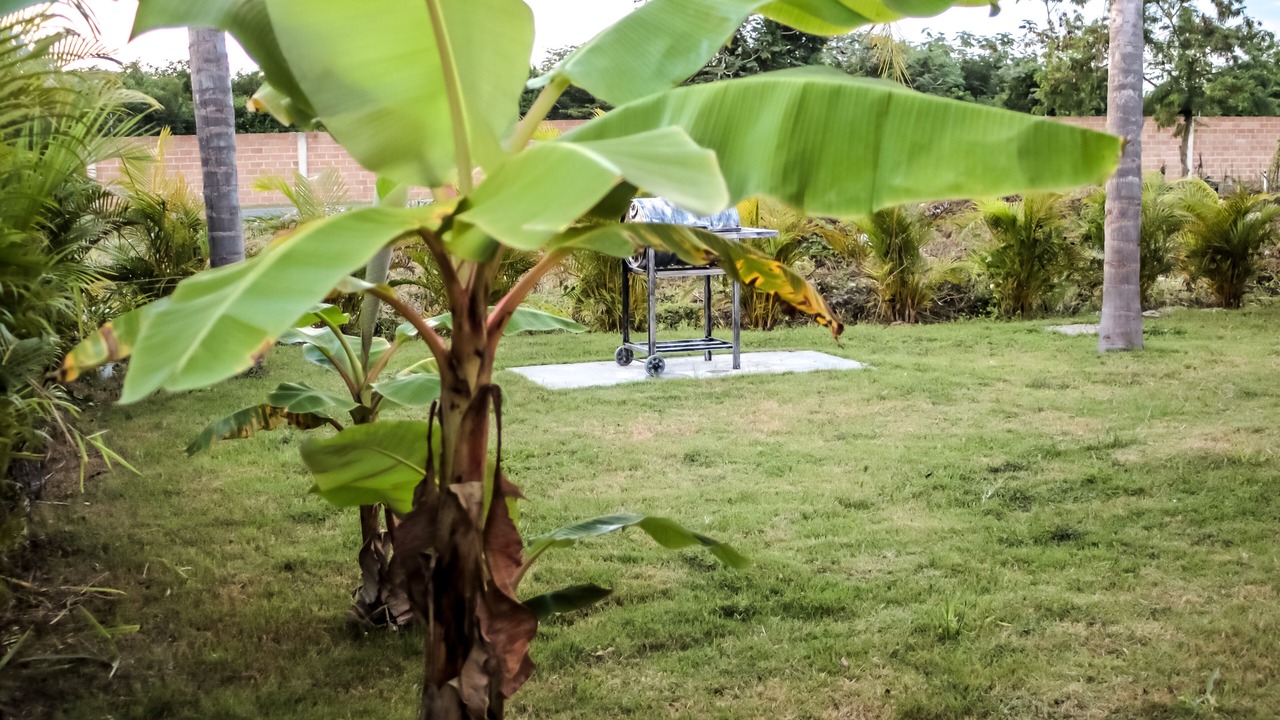Photo of Outdoor in Boca Chica