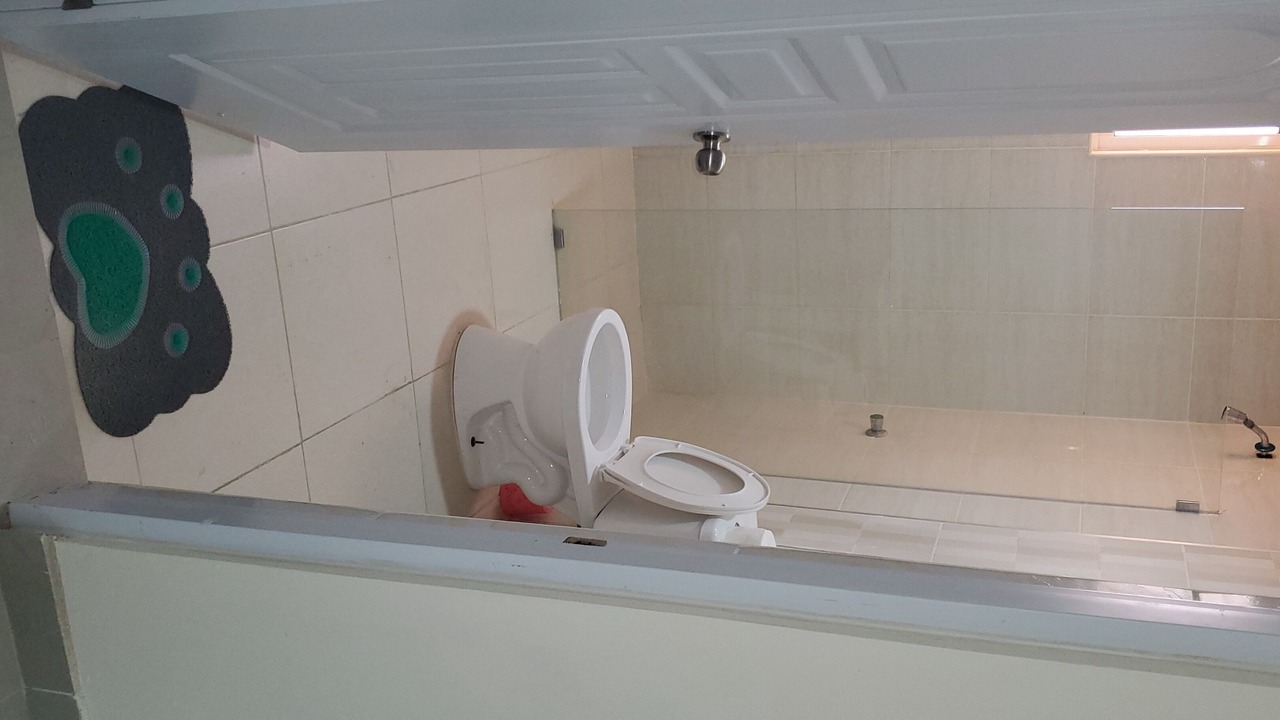 Photo of Bathroom in Tropical del Este