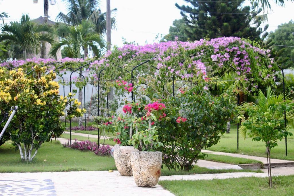 Photo of Outdoor in Bella Vista