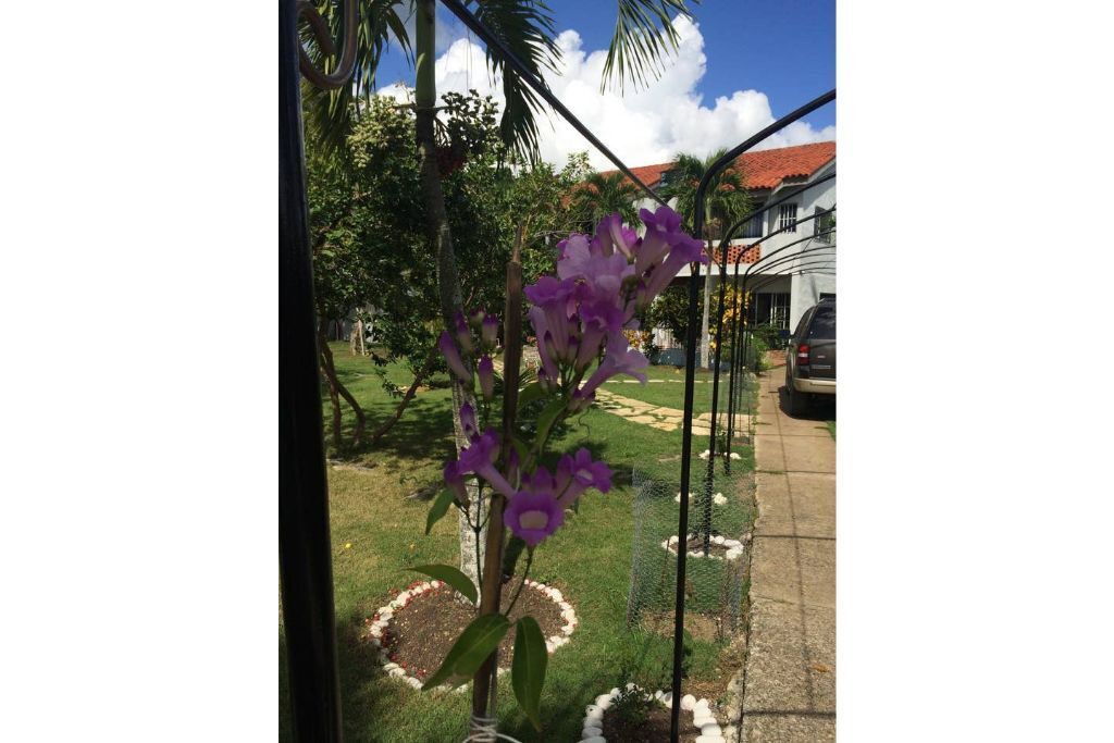 Photo of Outdoor in Bella Vista