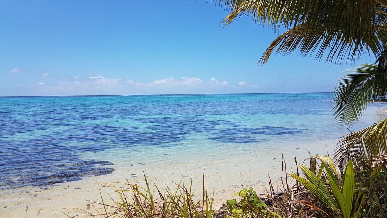 Photo of Others in Pihaena