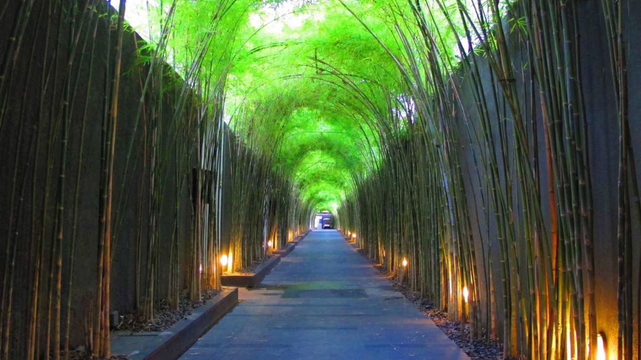 Photo of Outdoor in Central Seminyak