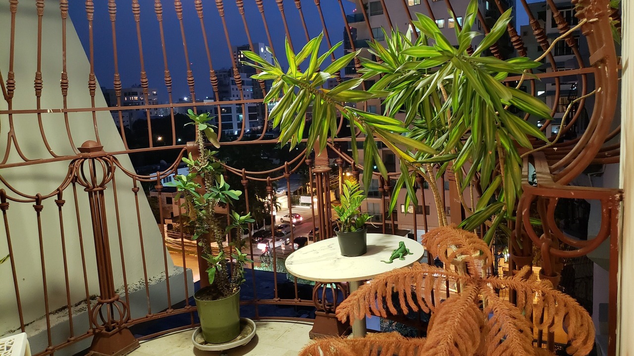 Photo of Outdoor in Yolanda Morales