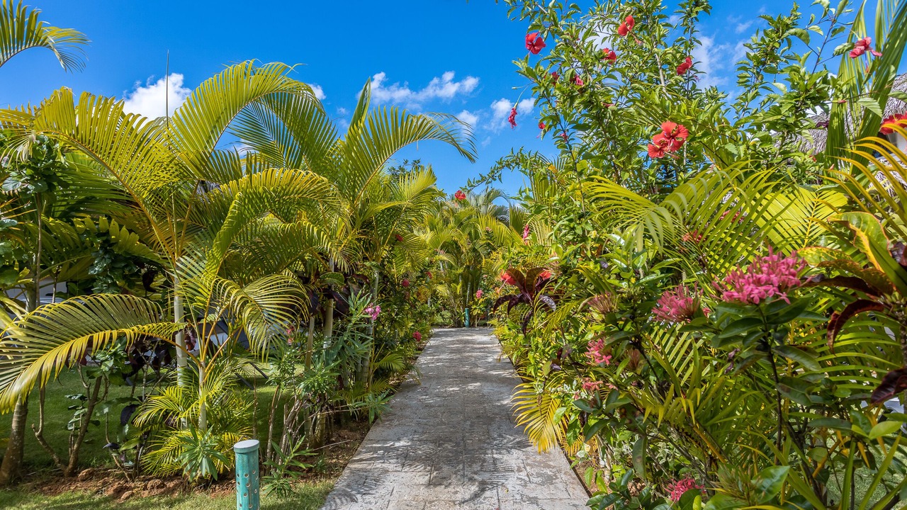 Photo of Outdoor in El Centro