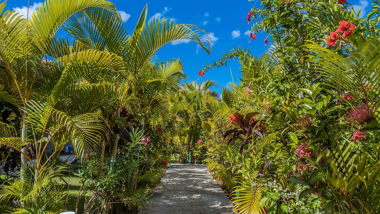 Photo of Outdoor in El Centro