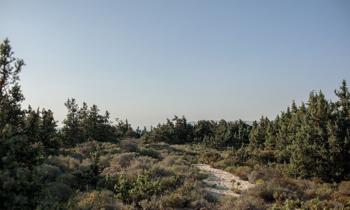 Photo of Others in Naxos