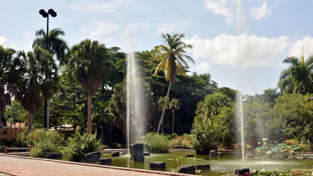 Photo of Outdoor in Corales del Sur