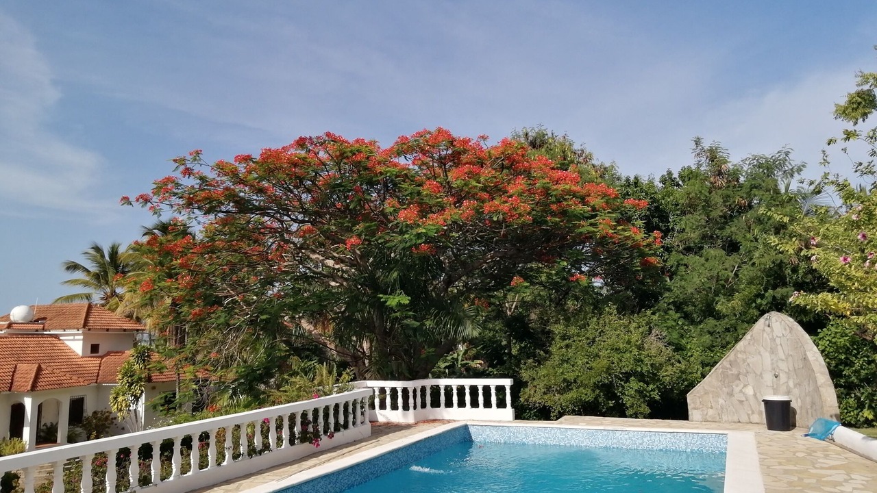 Photo of Outdoor in La Mulata I