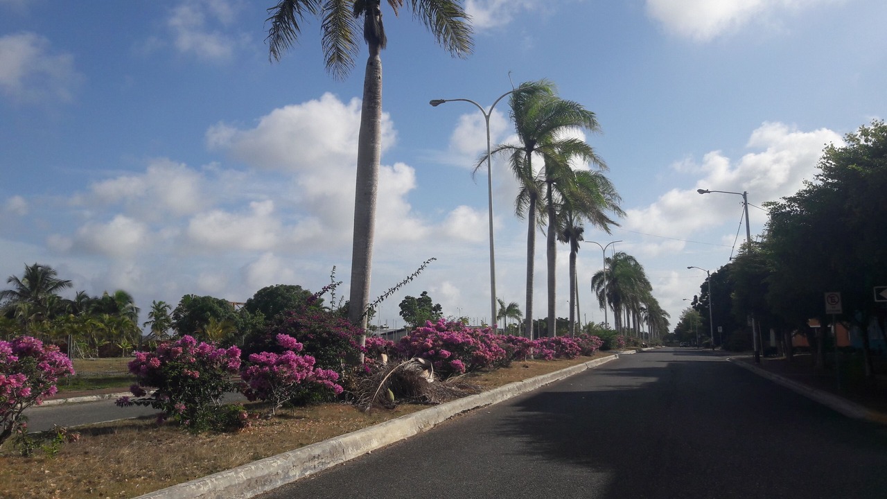 Photo of Outdoor in La Caleta