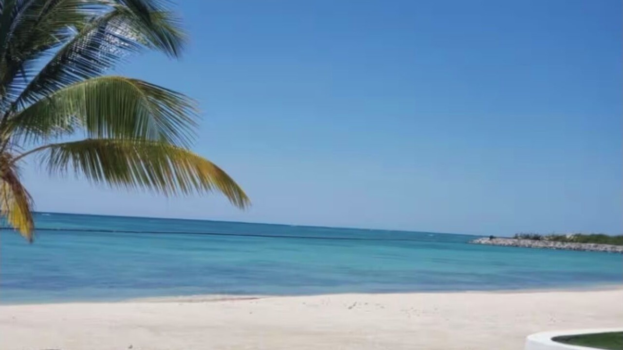 Photo of Others in Cap Cana Marina