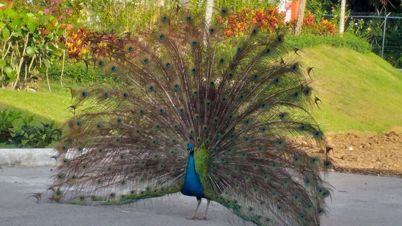 Photo of Outdoor in Hato Mayor del Rey