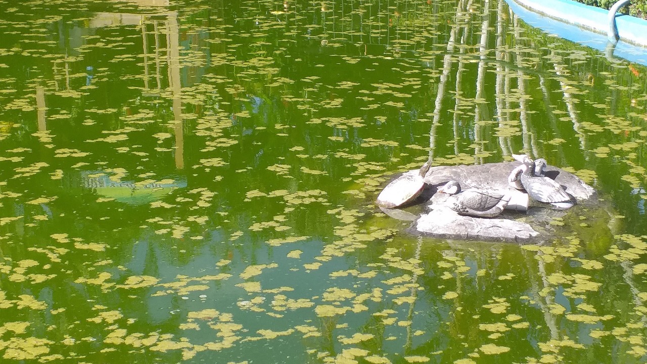Photo of Outdoor in Hato Mayor del Rey