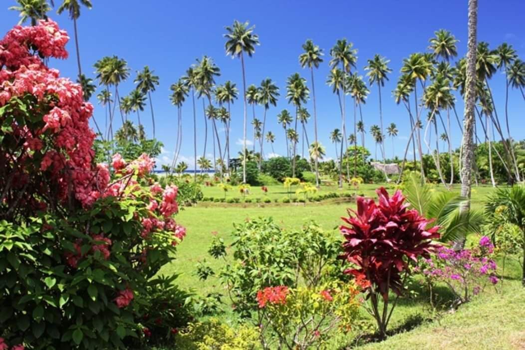 Photo of Outdoor in Savusavu