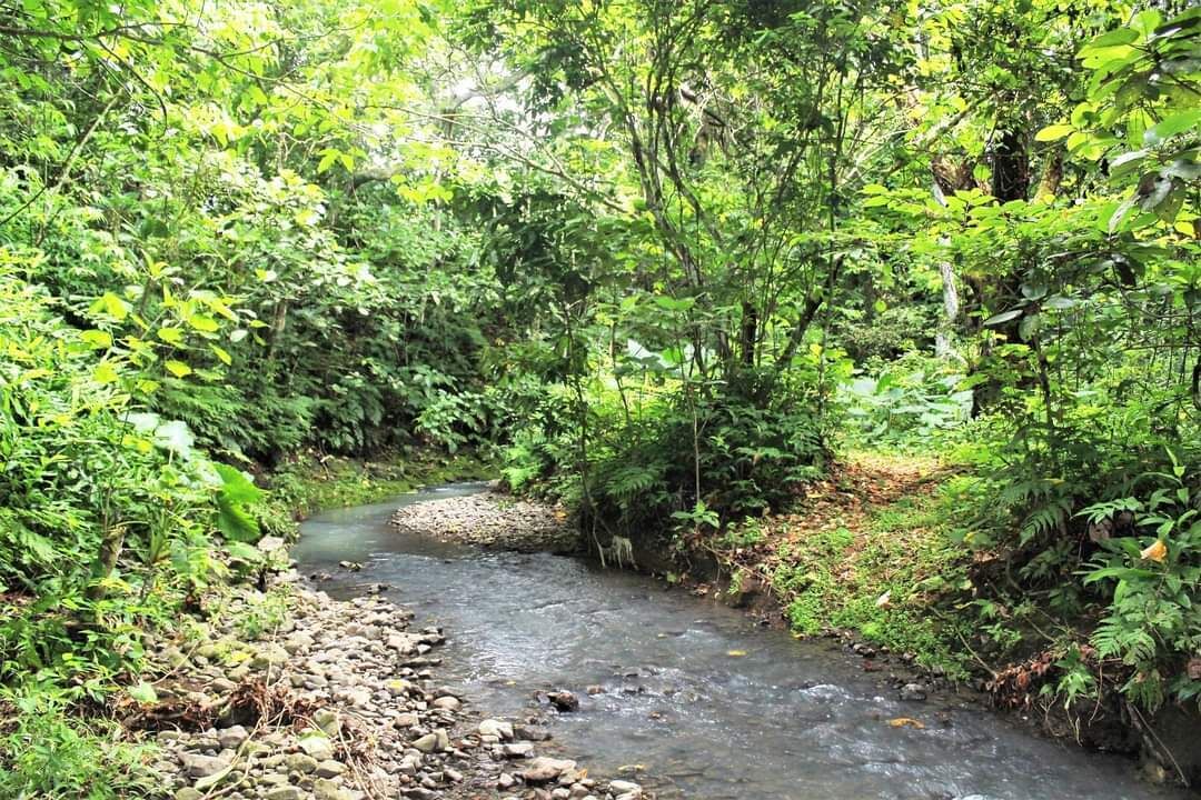 Photo of Outdoor in Savusavu