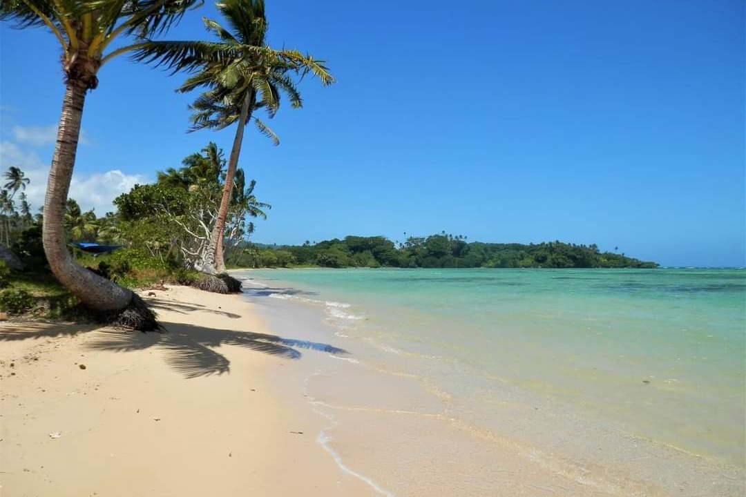 Photo of Others in Savusavu