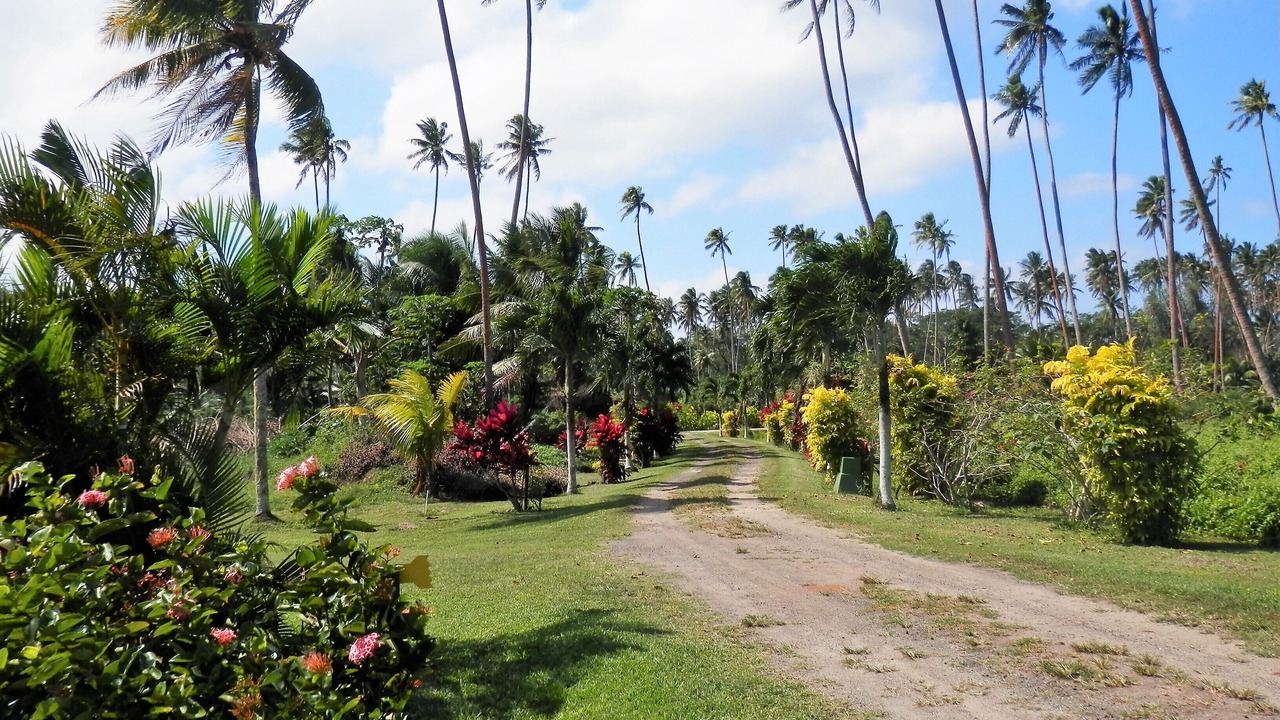 Photo of Others in Savusavu