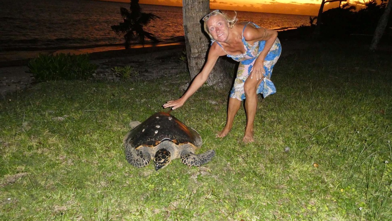 Photo of Others in Savusavu