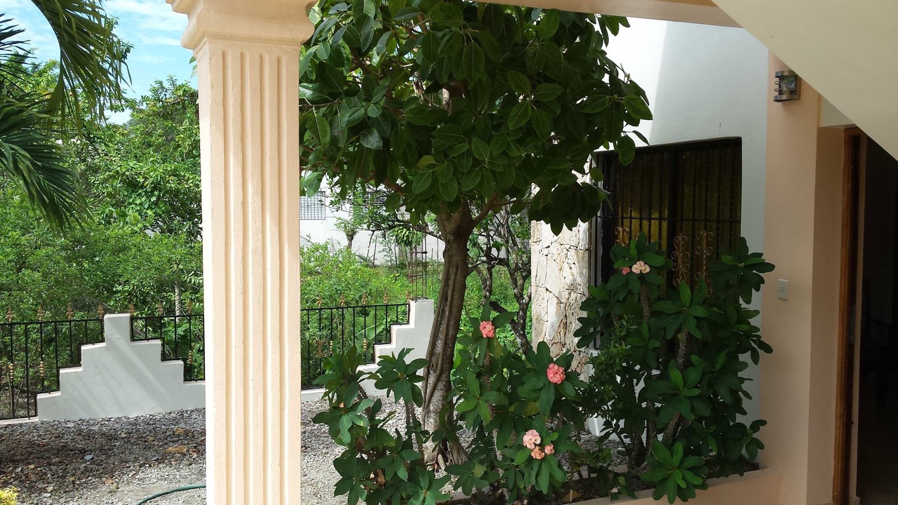 Photo of Outdoor in Centro