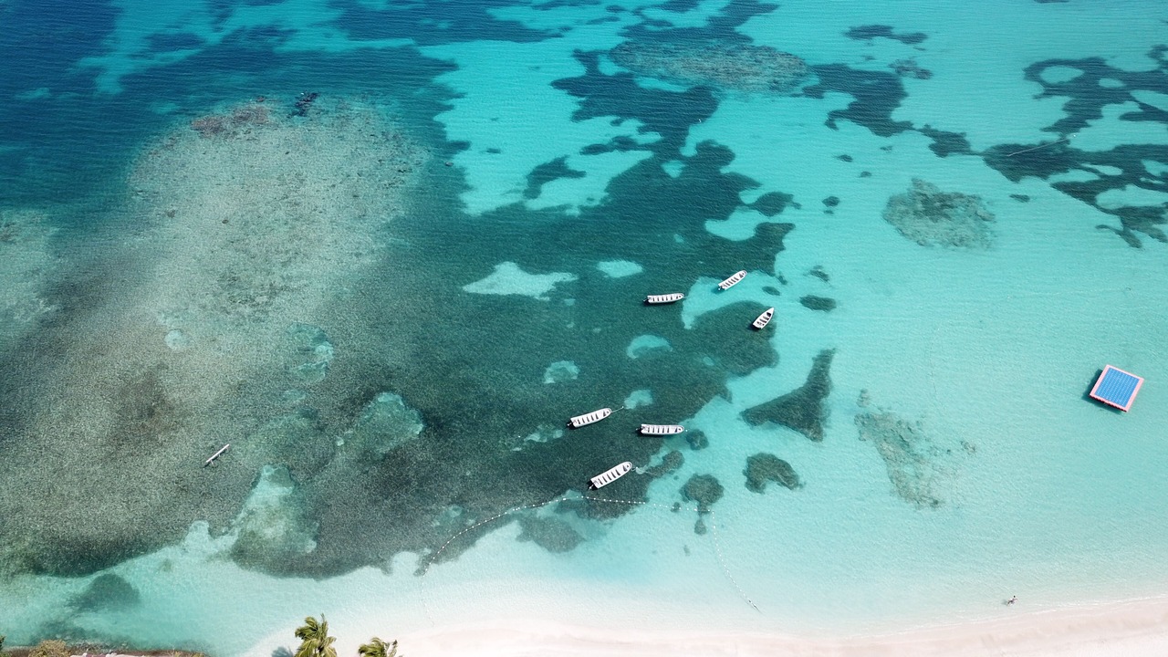 Photo of Others in Punta Rucia
