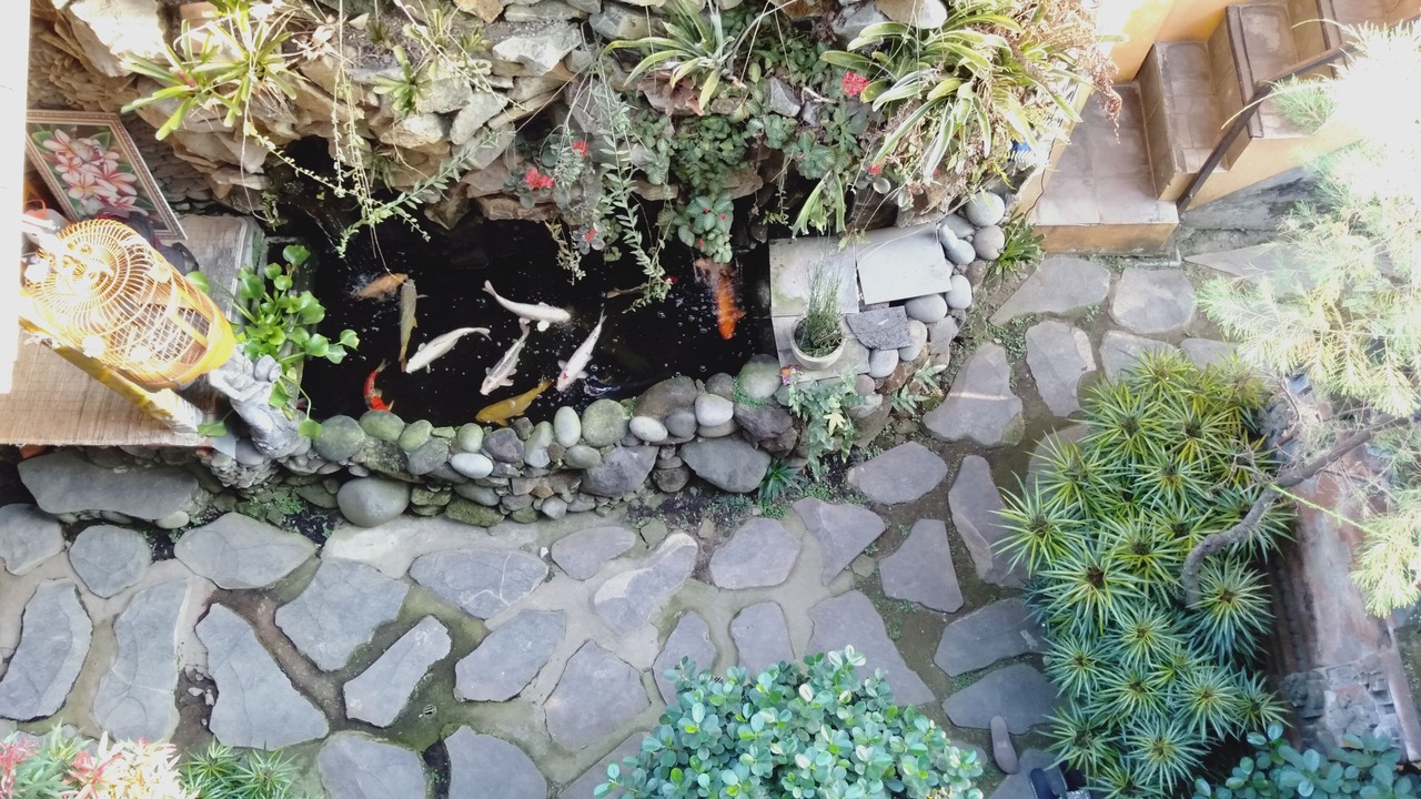 Photo of Outdoor in Peliatan