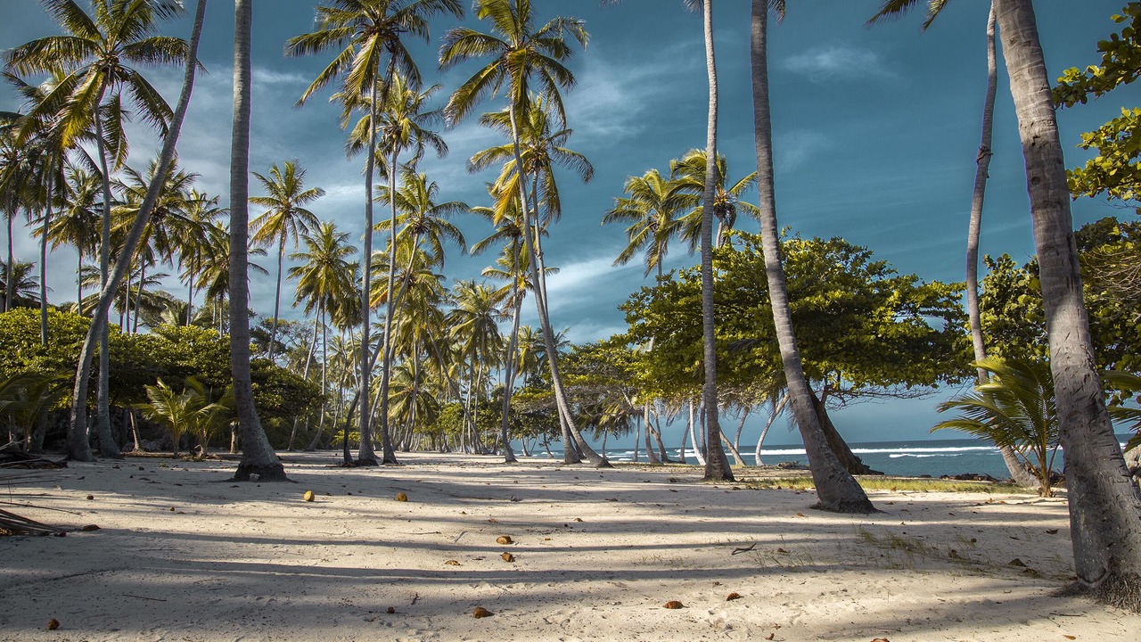Photo of Others in Cabarete
