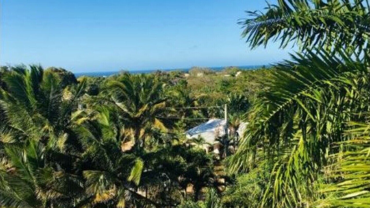 Photo of Outdoor in La Mulata I