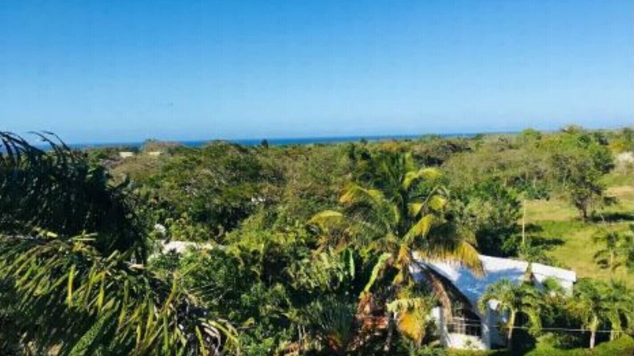 Photo of Outdoor in La Mulata I