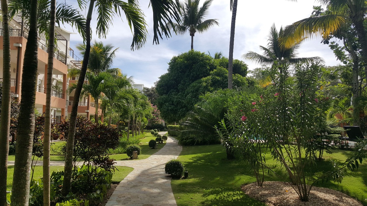Photo of Outdoor in El Batey