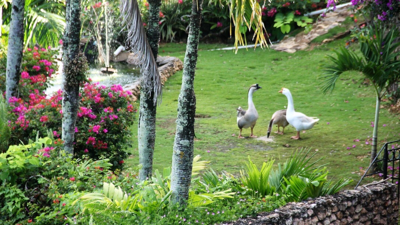 Photo of Outdoor in La Barbacoa