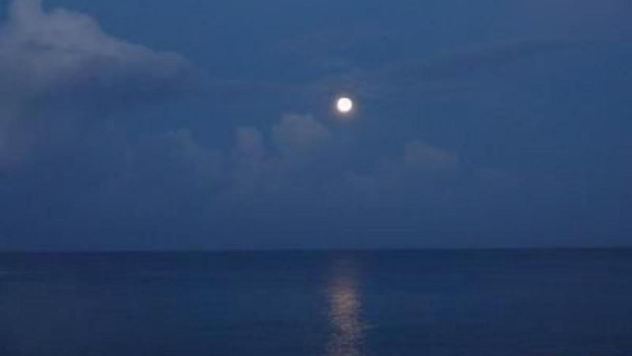 Photo of Others in Dominicus