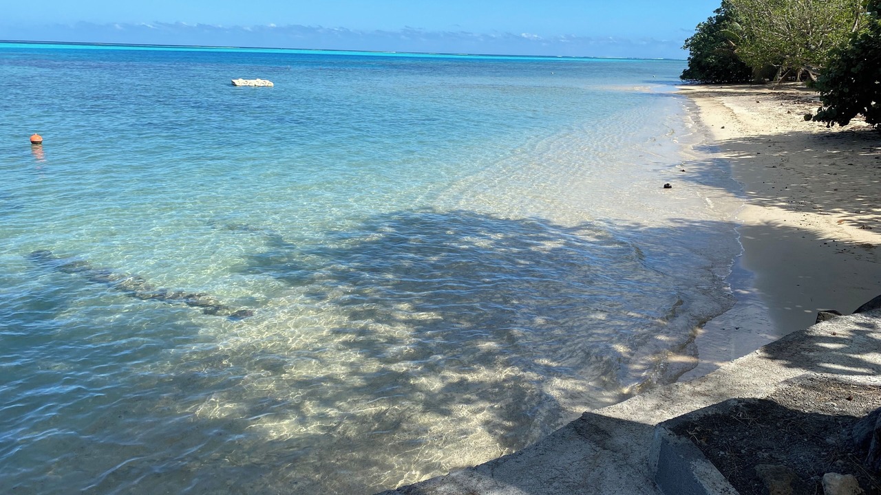 Photo of Others in Moorea-Maiao