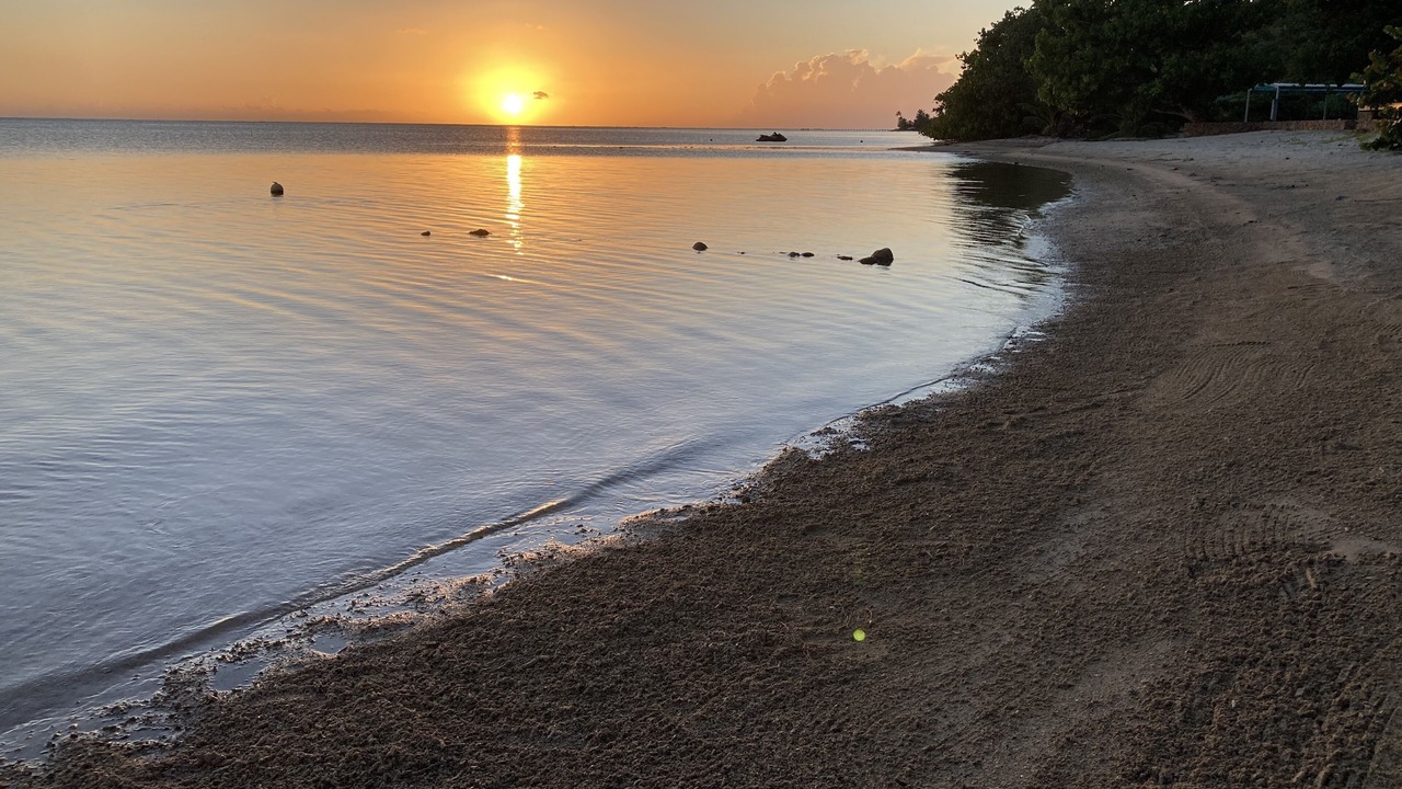 Photo of Others in Moorea-Maiao